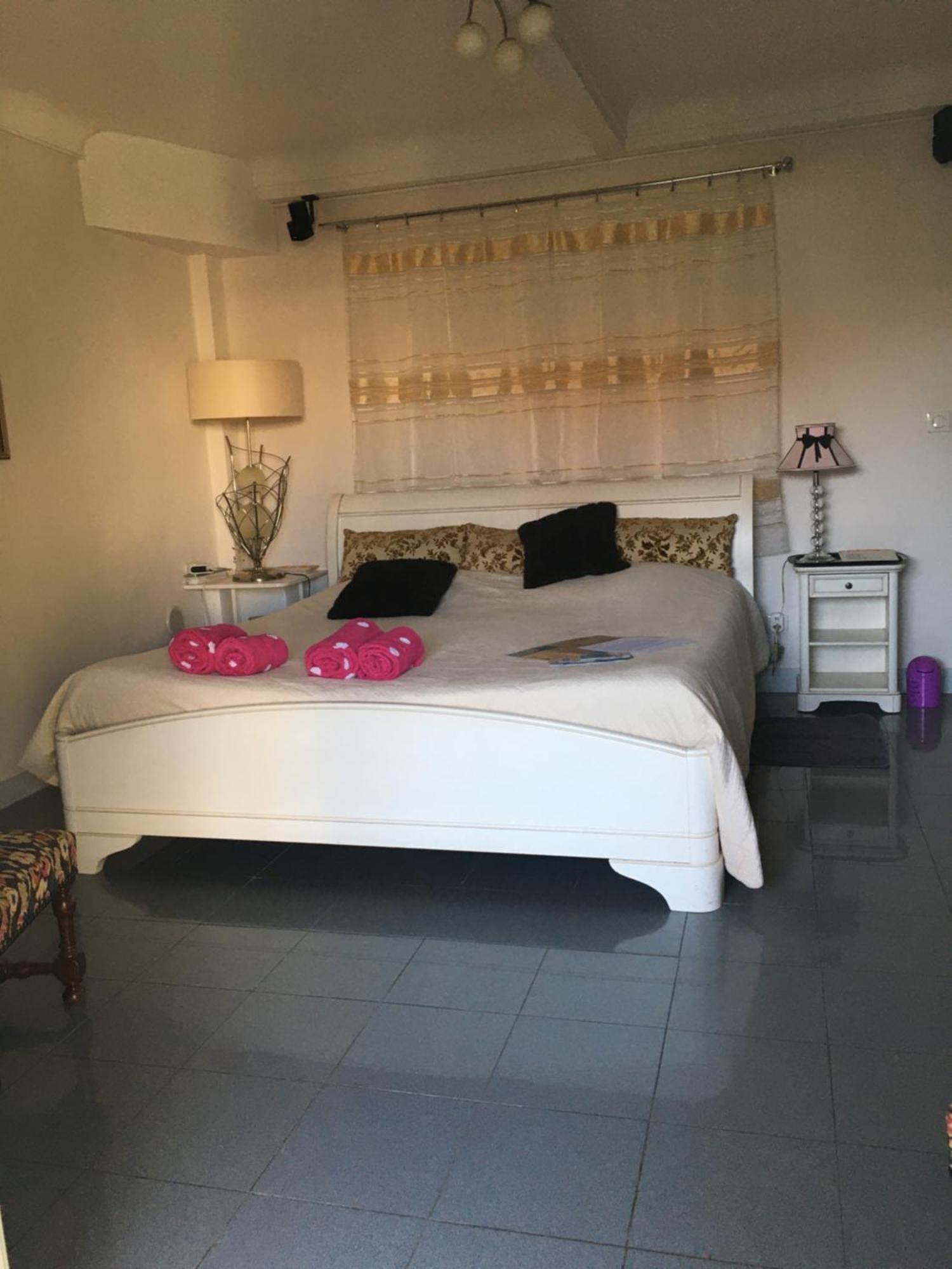 Centre, Piscine, Intime, En Ancienne Apartment Nizza